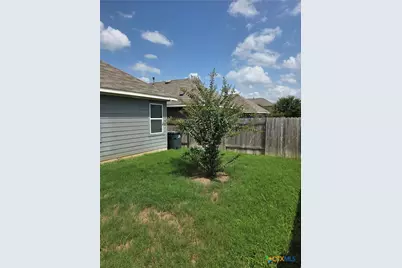 356 Spiny Lizard Lane, San Marcos, TX 78666 - Photo 3