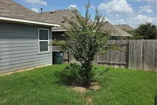 356 Spiny Lizard Ln, San Marcos, TX 78666 - Photo 3