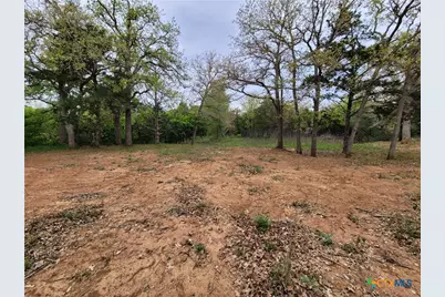 160 Arbor Hill Way, Cedar Creek, TX 78612 - Photo 3