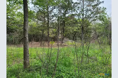 160 Arbor Hill Way, Cedar Creek, TX 78612 - Photo 19