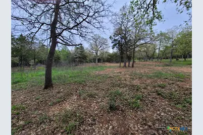 160 Arbor Hill Way, Cedar Creek, TX 78612 - Photo 15