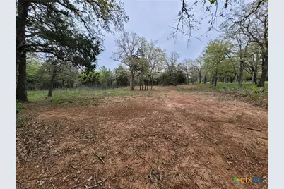 160 Arbor Hill Way, Cedar Creek, TX 78612 - Photo 13