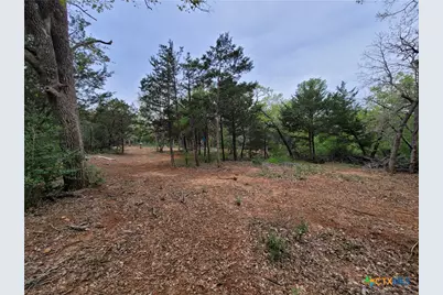 160 Arbor Hill Way, Cedar Creek, TX 78612 - Photo 9