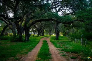2288 US Hwy 77A, Cuero, TX 77954 - Photo 33
