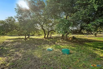 5913 Temerity Way, Bulverde, TX 78163 - Photo 45