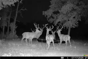 2524 Sandy Fork Rd, Harwood, TX 78616 - Photo 39