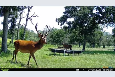 2524 Sandy Fork Road, Harwood, TX 78616 - Photo 37