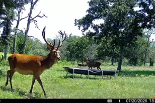 2524 Sandy Fork Rd, Harwood, TX 78616 - Photo 37