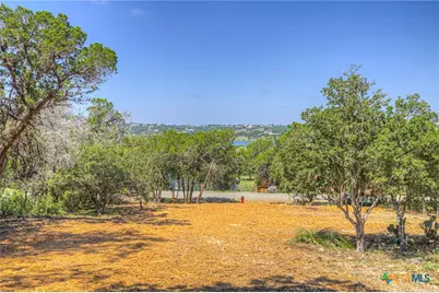 1919 Lakeshore Drive, Canyon Lake, TX 78133 - Photo 13