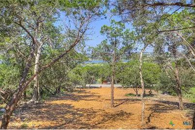 1919 Lakeshore Drive, Canyon Lake, TX 78133 - Photo 3