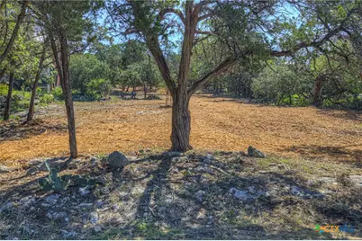 1919 Lakeshore Drive, Canyon Lake, TX 78133 - Photo 5