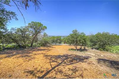 1919 Lakeshore Drive, Canyon Lake, TX 78133 - Photo 11