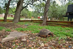 626 April Dr, Canyon Lake, TX 78133 - Photo 35