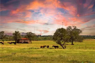 2520 Co Rd 232, Gonzales, TX 78629 - Photo 45