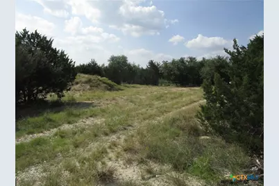 3246 Hawthorne Road, Spring Branch, TX 78070 - Photo 7