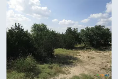 3246 Hawthorne Road, Spring Branch, TX 78070 - Photo 9