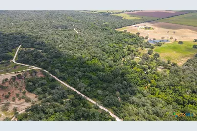 0 Dewberry Lane, Louise, TX 77455 - Photo 7