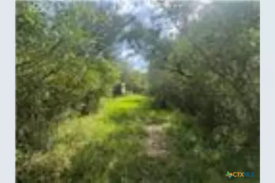 0 Dewberry Lane, Louise, TX 77455 - Photo 3