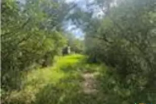 0 Dewberry Ln, Louise, TX 77455 - Photo 3