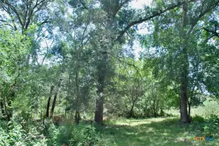Tbd Cr 420, Waelder, TX 78959 - Photo 13
