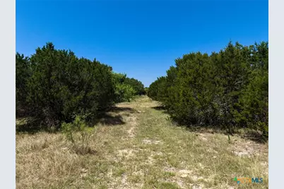 10072 N State Highway 36, Jonesboro, TX 76538 - Photo 31