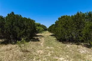 10072 N State Hwy 36, Jonesboro, TX 76538 - Photo 31