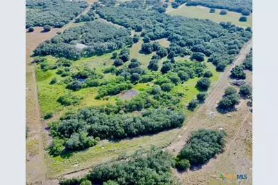 5367 Old Goliad Road, Goliad, TX 77963 - Photo 7
