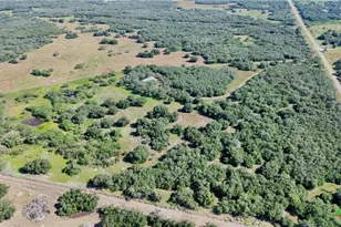 5367 Old Goliad Rd, Goliad, TX 77963 - Photo 3