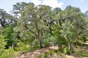 280 Hebron Church Rd, Yoakum, TX 77995 - Photo 15