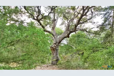 280 Hebron Church Road, Yoakum, TX 77995 - Photo 17