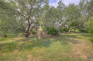 4142 Morningside Way, Canyon Lake, TX 78133 - Photo 29
