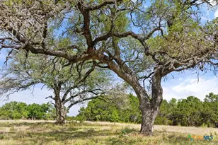 4772-11 County Road 340, Burnet, TX 78611 - Photo 5