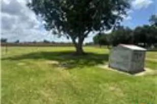 1331 County Road 313 Rd, Louise, TX 77455 - Photo 3