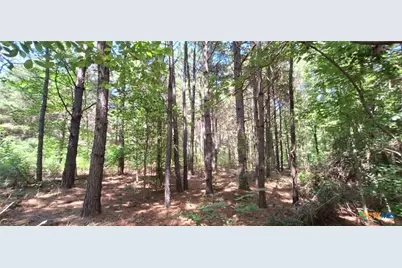 Tbd Red Maple Road, Big Sandy, TX 75755 - Photo 19