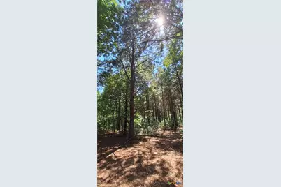 Tbd Red Maple Road, Big Sandy, TX 75755 - Photo 25