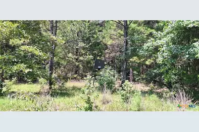 Tbd Red Maple Road, Big Sandy, TX 75755 - Photo 21