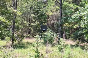 Tbd Red Maple Rd, Big Sandy, TX 75755 - Photo 21