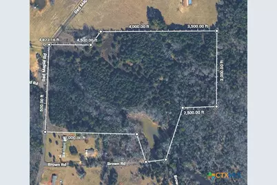 Tbd Red Maple Road, Big Sandy, TX 75755 - Photo 3