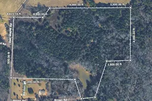 Tbd Red Maple Rd, Big Sandy, TX 75755 - Photo 3