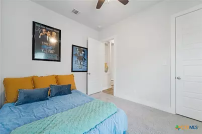 229 Majestic Sage Trail, San Marcos, TX 78666 - Photo 11