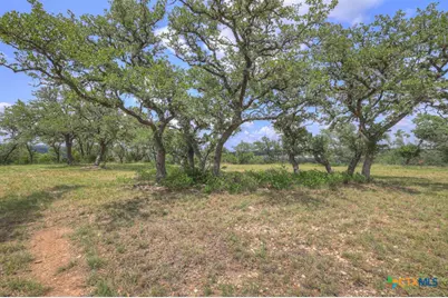 338 Sheridan Drive, Canyon Lake, TX 78133 - Photo 15