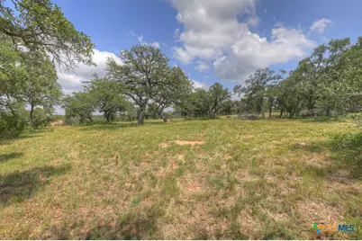 338 Sheridan Drive, Canyon Lake, TX 78133 - Photo 21