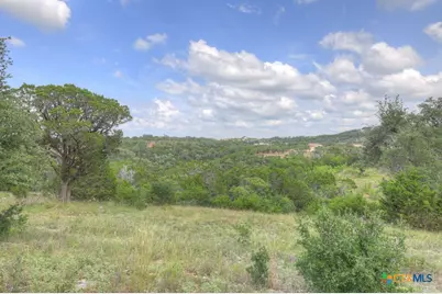 338 Sheridan Drive, Canyon Lake, TX 78133 - Photo 11