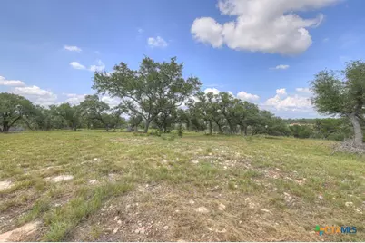 338 Sheridan Drive, Canyon Lake, TX 78133 - Photo 13