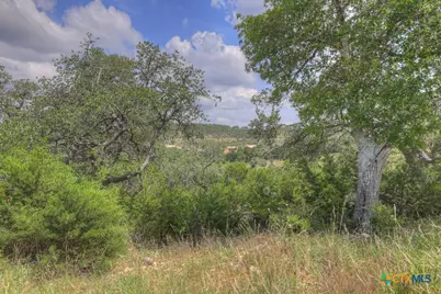 338 Sheridan Drive, Canyon Lake, TX 78133 - Photo 27