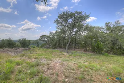338 Sheridan Drive, Canyon Lake, TX 78133 - Photo 19