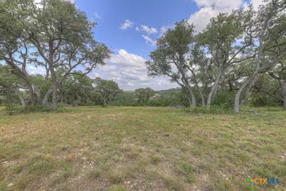 338 Sheridan Drive, Canyon Lake, TX 78133 - Photo 9