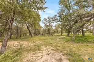 159 High Sierra Dr, Seguin, TX 78155 - Photo 23