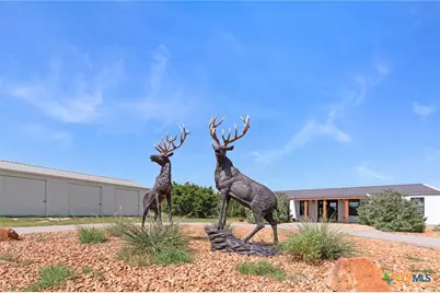 13770 Private Road 3642, Kempner, TX 76539 - Photo 3