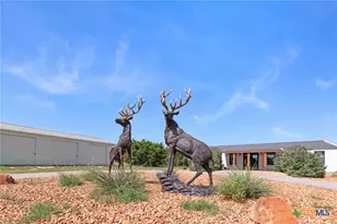 13770 Private Rd 3642, Kempner, TX 76539 - Photo 3